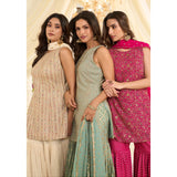 Gorgeous Georgette Embroidered Suit