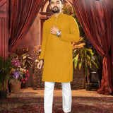 Heavy Sequence men Kurtas