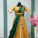 Traditional Organza Silk Pattu Silk Lehenga