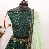 Traditional Aesthetic  Georgette Lehenga choli