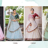 Glam Ethnic Colorfull Orgaza Lehenga