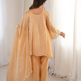 Stylish Mirror Work Silk Suit