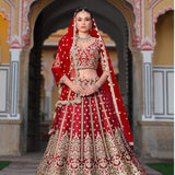 Bridal Butterfly Net Heavy Lehenga