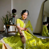 Beautyfull Parrot Green Lehenga