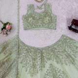 Boutique Butterfly Net Lehenga