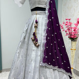 Silver Elegant Half Half Lehenga