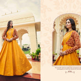 Partywear Anarkali Gown