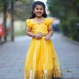 Festive kids Lehenga Choli