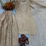 Premium Designer Gmy Silk Suit