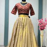 Elegant Traditional Half Half Lehenga