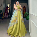 Festive Beautifull Lehenga Choli