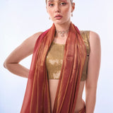 Fendy Jimmy Silver Saree Collection