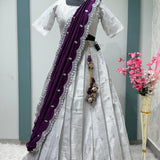 Silver Elegant Half Half Lehenga