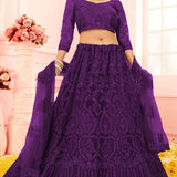 Wedding Net Lehenga Choli