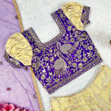 Elegance Kids Embroidered Lehenga Choli