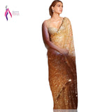 Beautifull Celebrity Sequance Saree