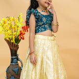 Fancy Kids Festive Lehenga Choli