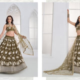Mrudangi Net Emboridered Lehenga