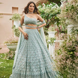 Fancy Heavy Net Embellished Lehenga