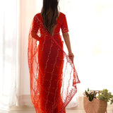 Beautifull Butterfly Net Saree