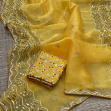 ORGANZA NET SAREE