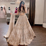 Party Wear Net  Lehngha Choli