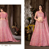 Exclusive net lahenga choli