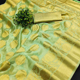 Pure Organza Silk Saree