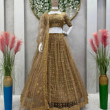 Butterfly Net Lehenga Choli