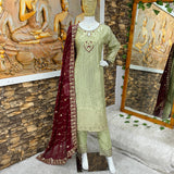 Pakistani Sequence Work Suit Collection