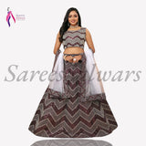 Most Beautifull Designer Lehenga Choli