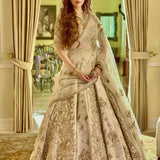 Party Lehenga - Size XXL