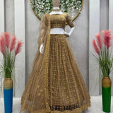 Butterfly Net Lehenga