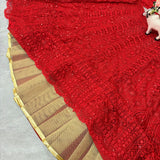 Heavy Embroidered Lehenga - Size S