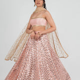 Presenting You Most Beautiful Sequins Work Lehenga Collection