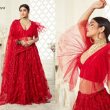 Red Butterfly Net Lehenga Choli