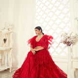 Red Butterfly Net Lehenga Choli