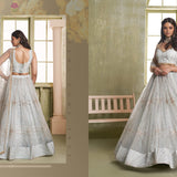 Wonderful Bridal Net Lehenga