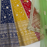 Beautifull MultyColored Lehenga Choli