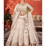 Elegance Bridal Embroidered Lehenga