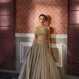 Premium Heavy Embroidered Organza Lehenga