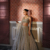 Premium Heavy Embroidered Organza Lehenga