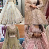 Elegant Peacock Embroidered Lehenga