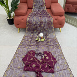 Beautiful Designer Zimmy Choo Saree