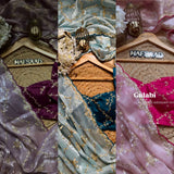 Beautiful Designer Zimmy Choo Saree