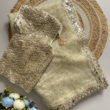 Bollywood Original Mirror Saree