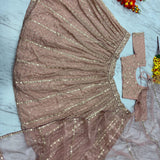 Bollywood Beautiful Sequence Lehenga