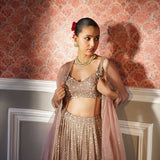 Bollywood Beautiful Sequence Lehenga