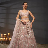 Grand Lavish Net Lehengha Choli