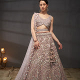 Grand Lavish Net Lehengha Choli